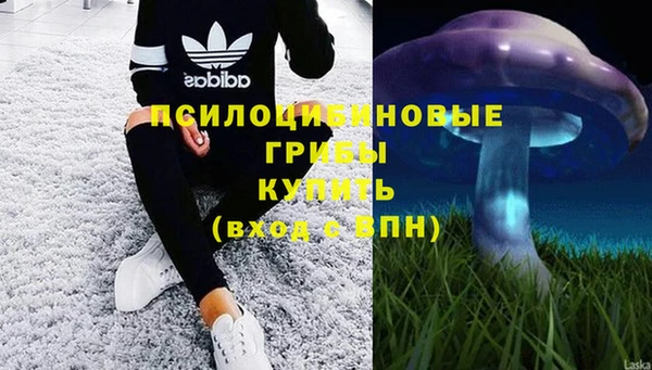 мескалин Карпинск