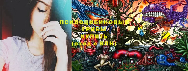 мескалин Карпинск