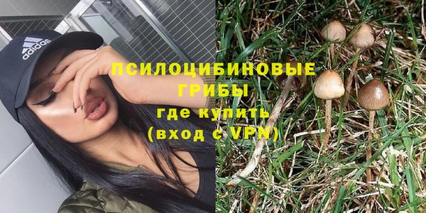 мескалин Карпинск