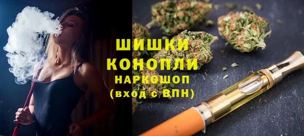 ГАЛЛЮЦИНОГЕННЫЕ ГРИБЫ Карталы