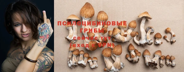 ГАЛЛЮЦИНОГЕННЫЕ ГРИБЫ Карталы